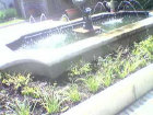 Garden Water Feature